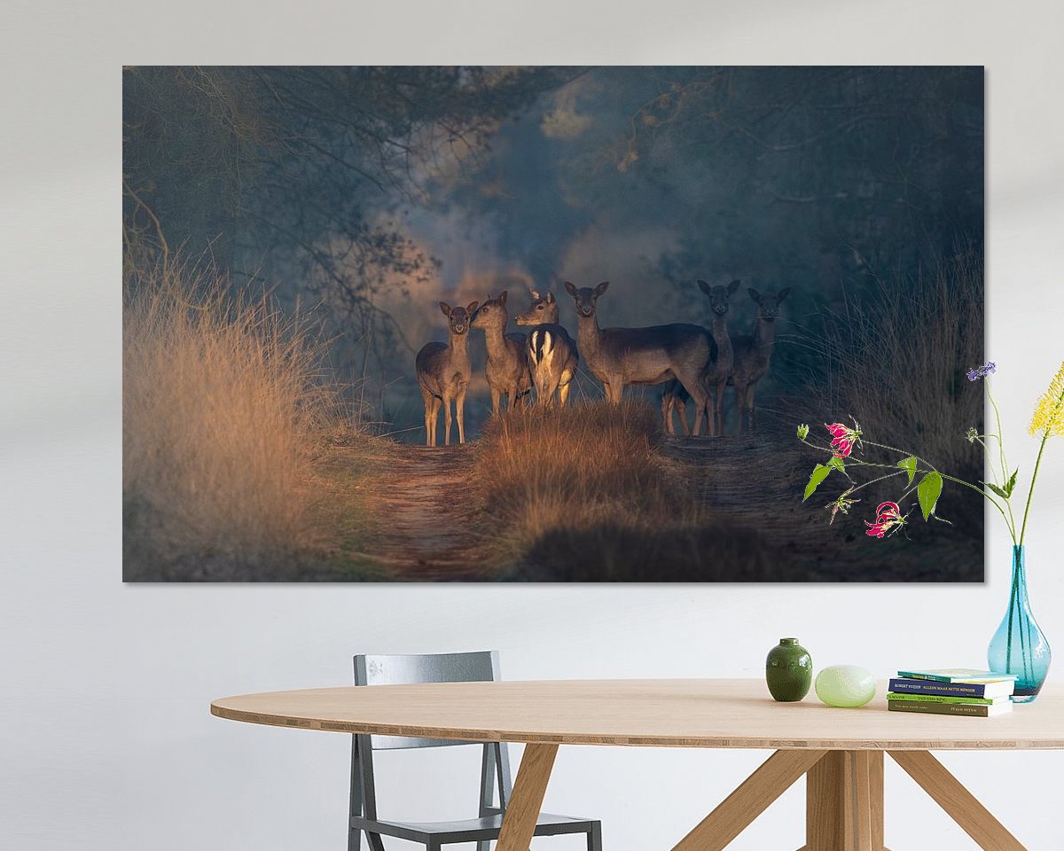 Voorbeeld van het werk in een kamer