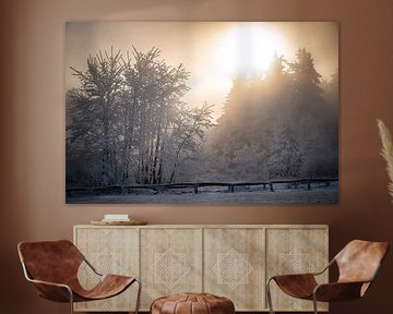 Winterlandschap in de gouden ochtendzon van Heiko Meier