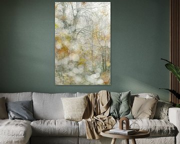 Autumn in a birch grove by Hans Debruyne