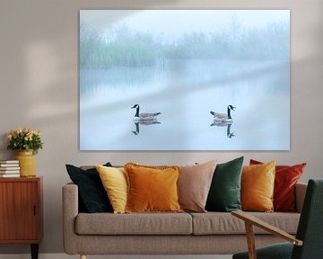 Canada geese by Hans Debruyne