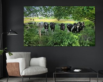 Curious Cows by Josina