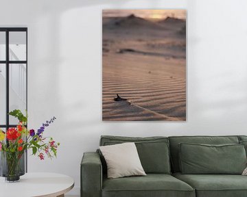 Une brindille dans les crêtes de la plage sur Astrid Brouwers