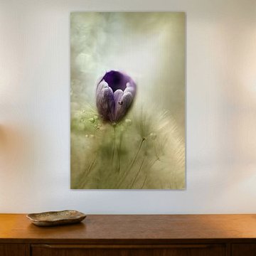 Photo aquarelle d'une fleur de printemps