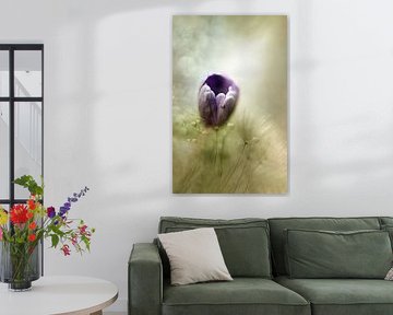 Watercolour photo of a spring flower by Vieretlaeve