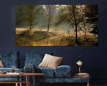 Ochtendfoto met mooie lichtval en nevel op Kroondomeinen van Rein van Vemde