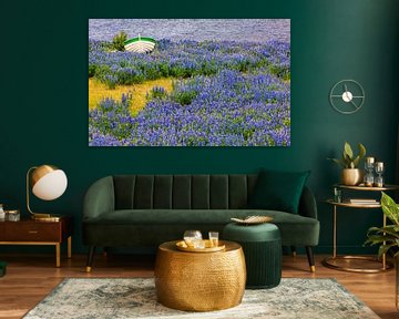 Bootje met lupines, IJsland van Adelheid Smitt