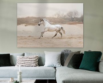 Cheval blanc courant sur la plage sur Laura Dijkslag