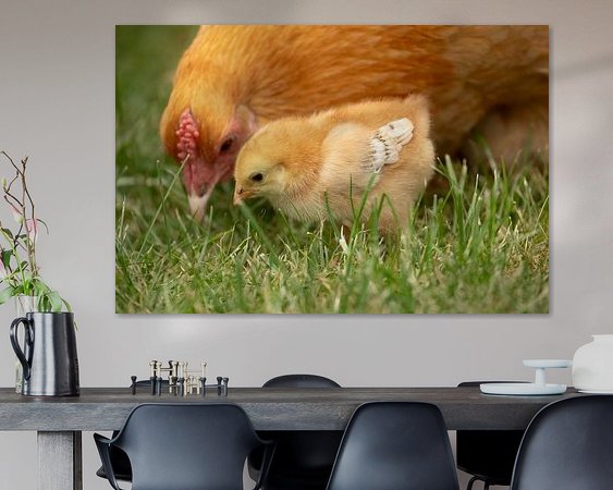 Aperçu de la chambre