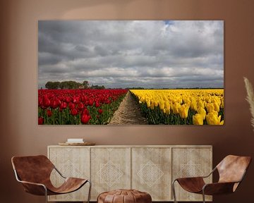 Tulpen velden in Rood en Geel van Bram van Broekhoven