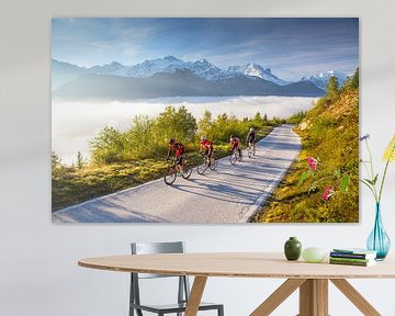 Radfahrer in den Schweizer Alpen von Menno Boermans