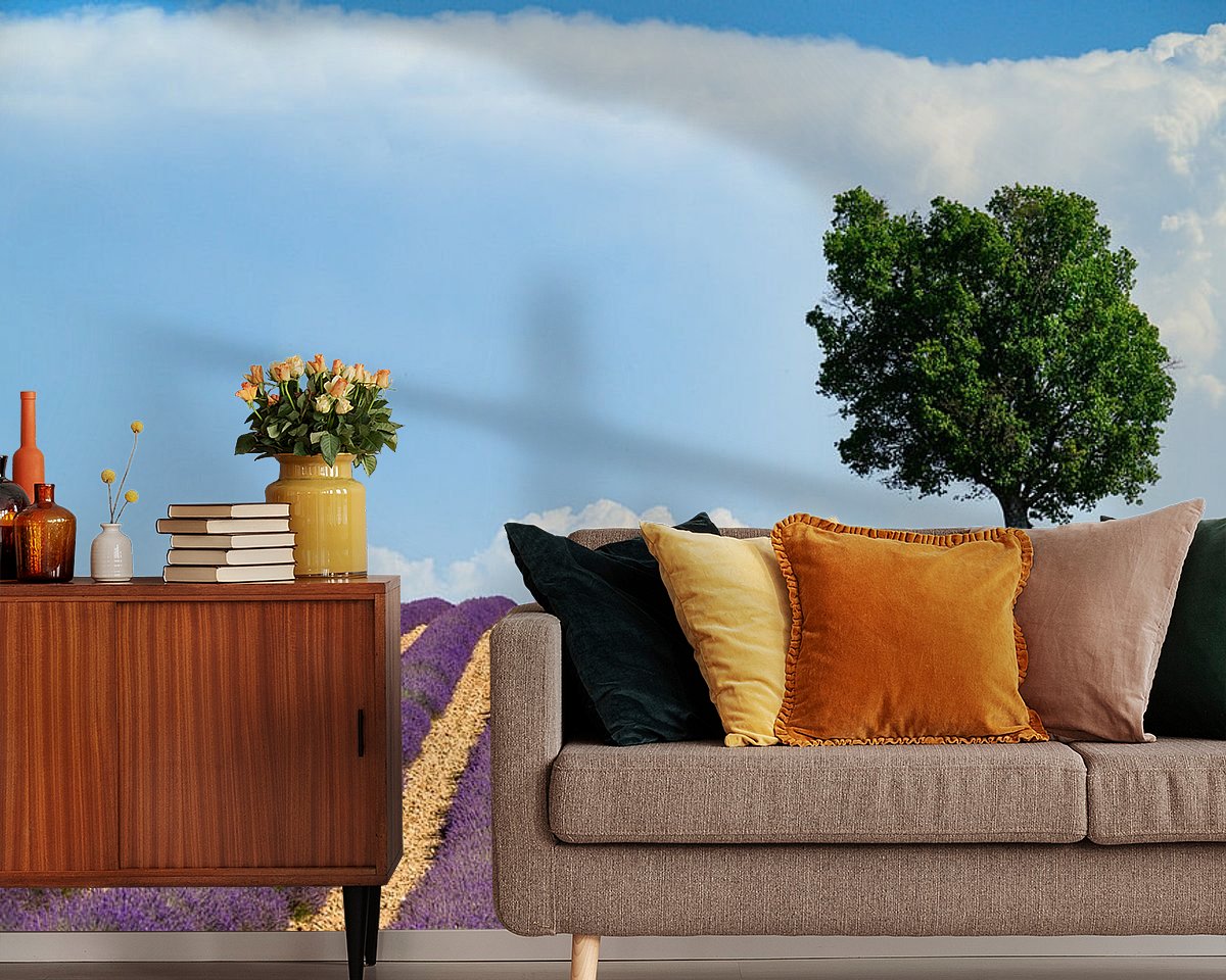 Raumvorschau