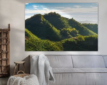 Vignobles sur les collines du Prosecco, Valdobbiadene sur Stefano Orazzini