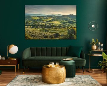 Landschap van de wijngaarden van Morellino di Scansano, Toscane van Stefano Orazzini