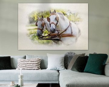 Twee witte paarden bij een koets in aquarel.