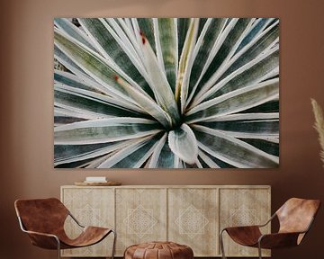 Imprimé botanique Agave Série Marrakesh 003 sur Elise van Gils
