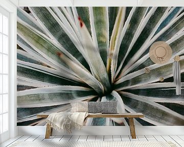 Touch of red | Agave botanical print Marrakesh Series 003 by Elise van Gils