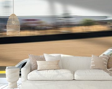 Porsche 906 Le Mans Classic van Bas Fransen