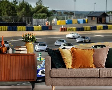 Porsche 917 Le Mans van Bas Fransen