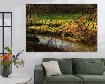 Rustige momenten in de natuur van Inspiration