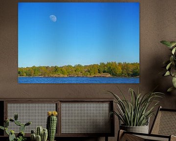 Earth from a Distant World by Inspiration