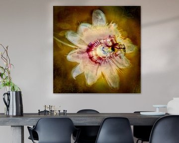 Passion flower by RAR KRAMER - Visual poet