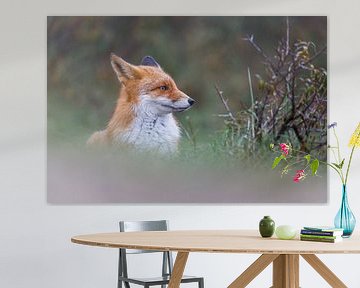 Portret van een vos by Pim Leijen