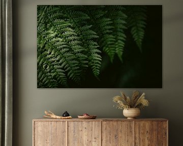 Lignes de feuilles - Imprimé de fougère botanique minimaliste sur Marika Huisman fotografie