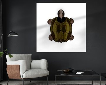 Schildpad van Grüntyers .