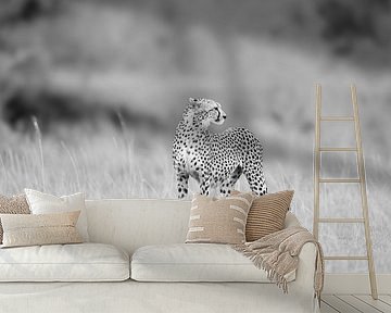 Monochrome cheetah! by Robert Kok