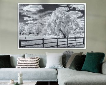 Saule pleureur en infrarouge sur Hans Vos Fotografie