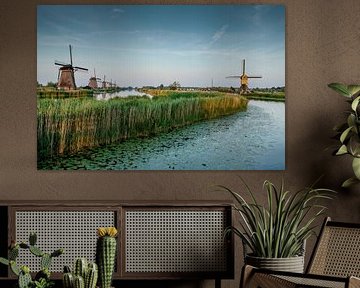 Weltkulturerbe Die Mühlen von Kinderdijk