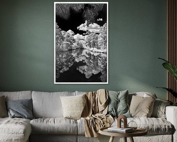Lake in the forest infrared by Hans Vos Fotografie