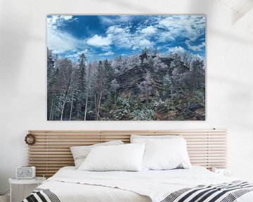 Zschirnstein avec des arbres couverts de neige et du brouillard au sommet sur Martin Köbsch