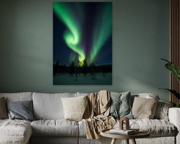 Aurora over Nordic Forest