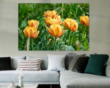 Tulpen auf einer Wiese mit schönem Bokeh. von Martin Köbsch