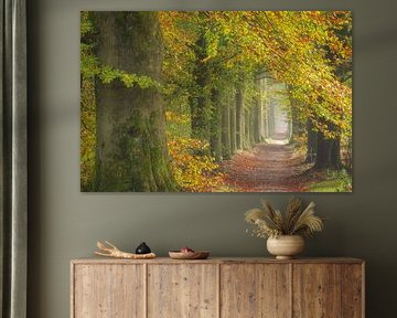 Herbstspaziergang