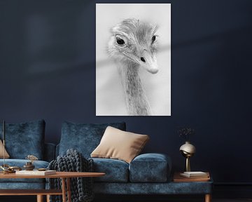 Portret van een Darwins nandoe (zwart-wit) van Fotografie Jeronimo