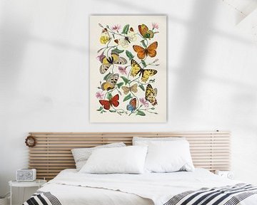 Butterflies no. 3 by Apolo Prints
