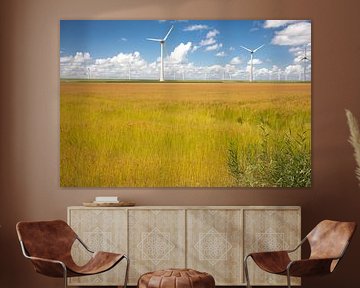 Windmolens in NO polder