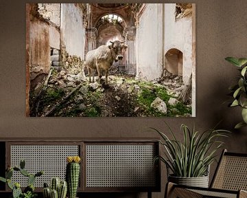 Spaanse kerk van Gentleman of Decay