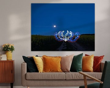 Lightpainting photo by Lightpainting Fotos