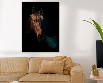 Portrait de cheval discret
