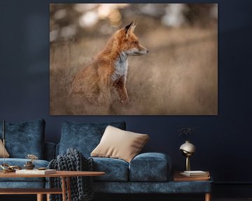 Une belle image naturelle de ce renard. sur mirka koot