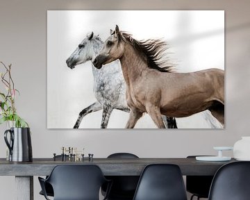 Paarden Galopperen Zij aan Zij in Elegant Contrast van Femke Ketelaar