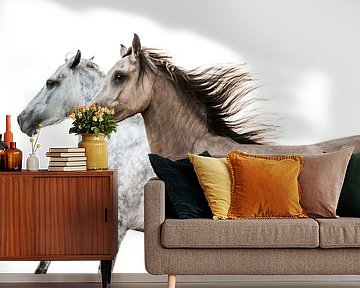 Horses Galloping Side by Side in Elegant Contrast by Femke Ketelaar