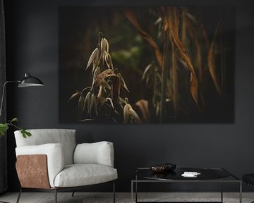Veld uitgedroogde gewassen 1 van Eleida-Fotografie