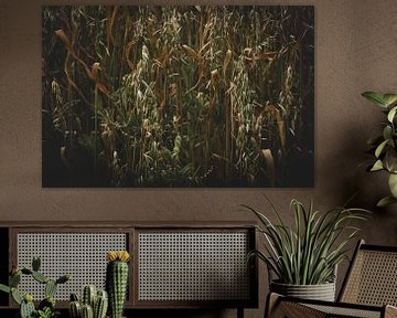 Veld uitgedroogde gewassen 2 van Eleida-Fotografie