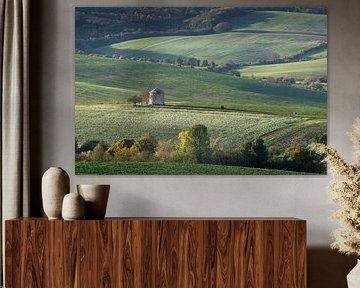 Windmühle in der mährischen Landschaft von Anges van der Logt