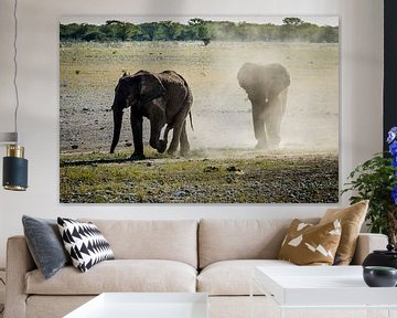 Eén of twee olifantjes?  van Sander RB