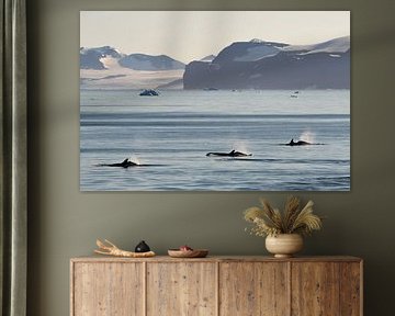 Drei Orca's in der Landschaft der Antarktis von Anges van der Logt